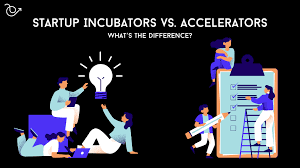 startup-incubator-vs.-accelerator:-which-is-right-for-your-business