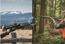 is-bolt-action-better-than-lever-action-for-hunting