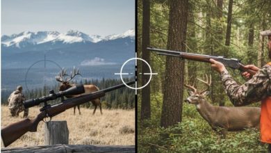 is-bolt-action-better-than-lever-action-for-hunting