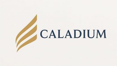 luxembourg’s-quiet-powerhouse:-caladium-raises-$345-m-to-bridge-asia,-europe-&-web3-frontiers